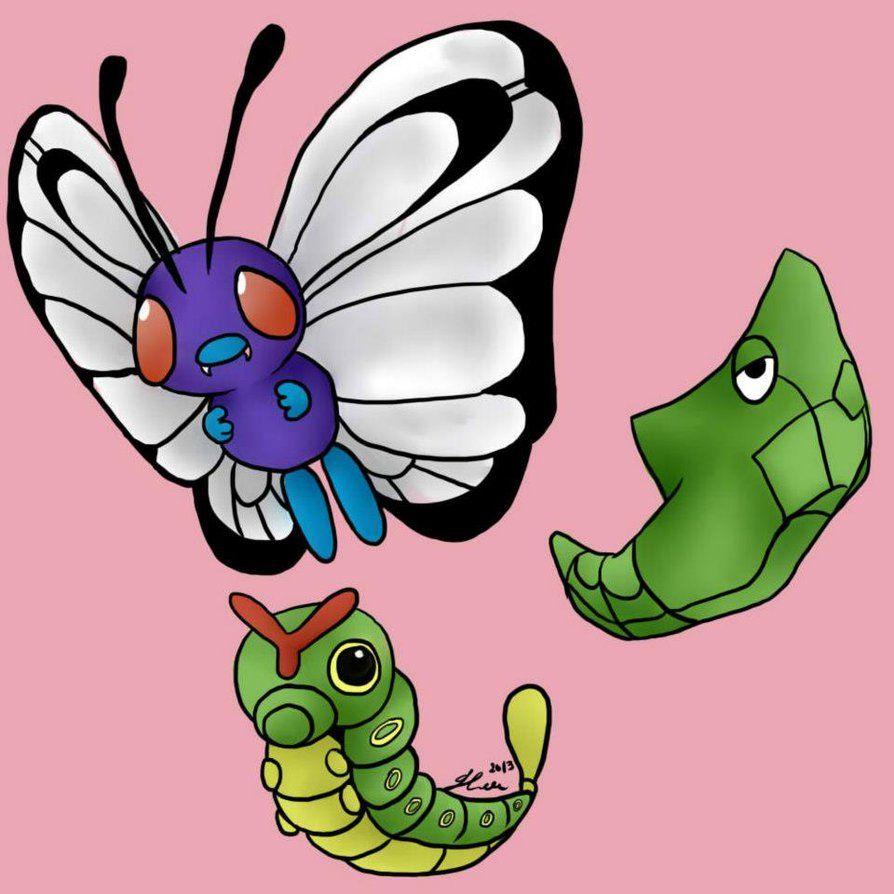 Metapod Hd Wallpapers