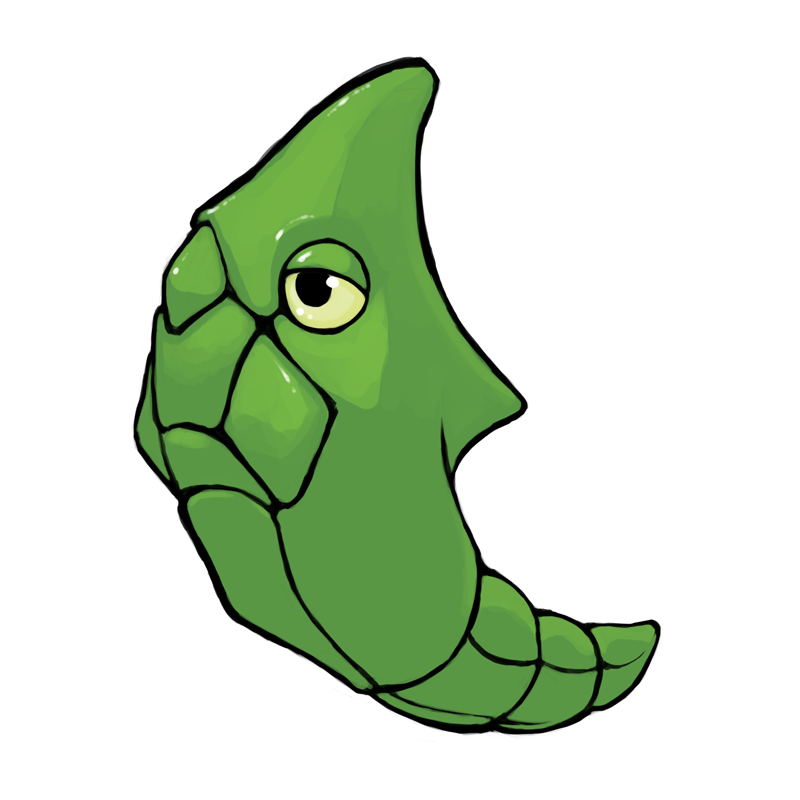 Metapod Hd Wallpapers