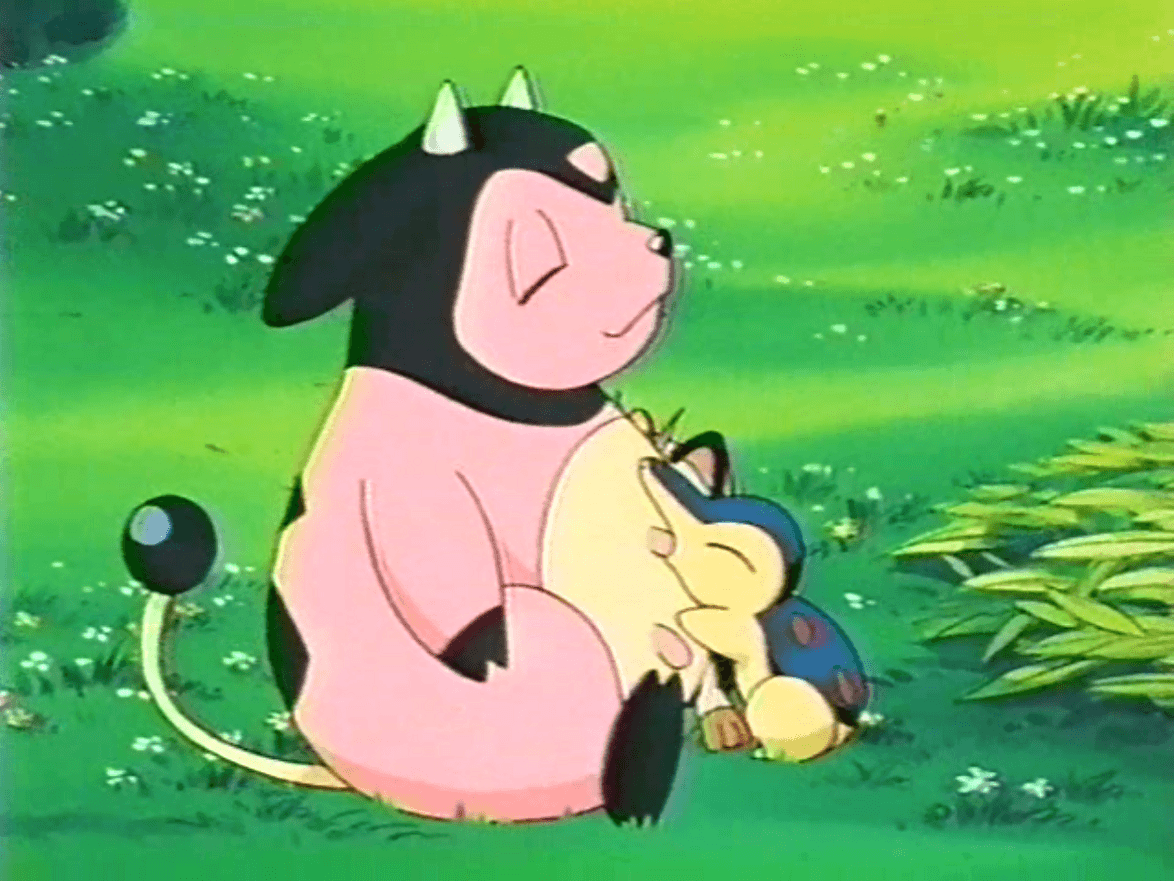 Miltank Hd Wallpapers