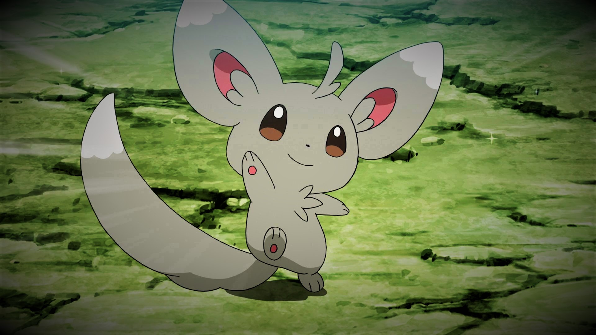 Minccino Hd Wallpapers