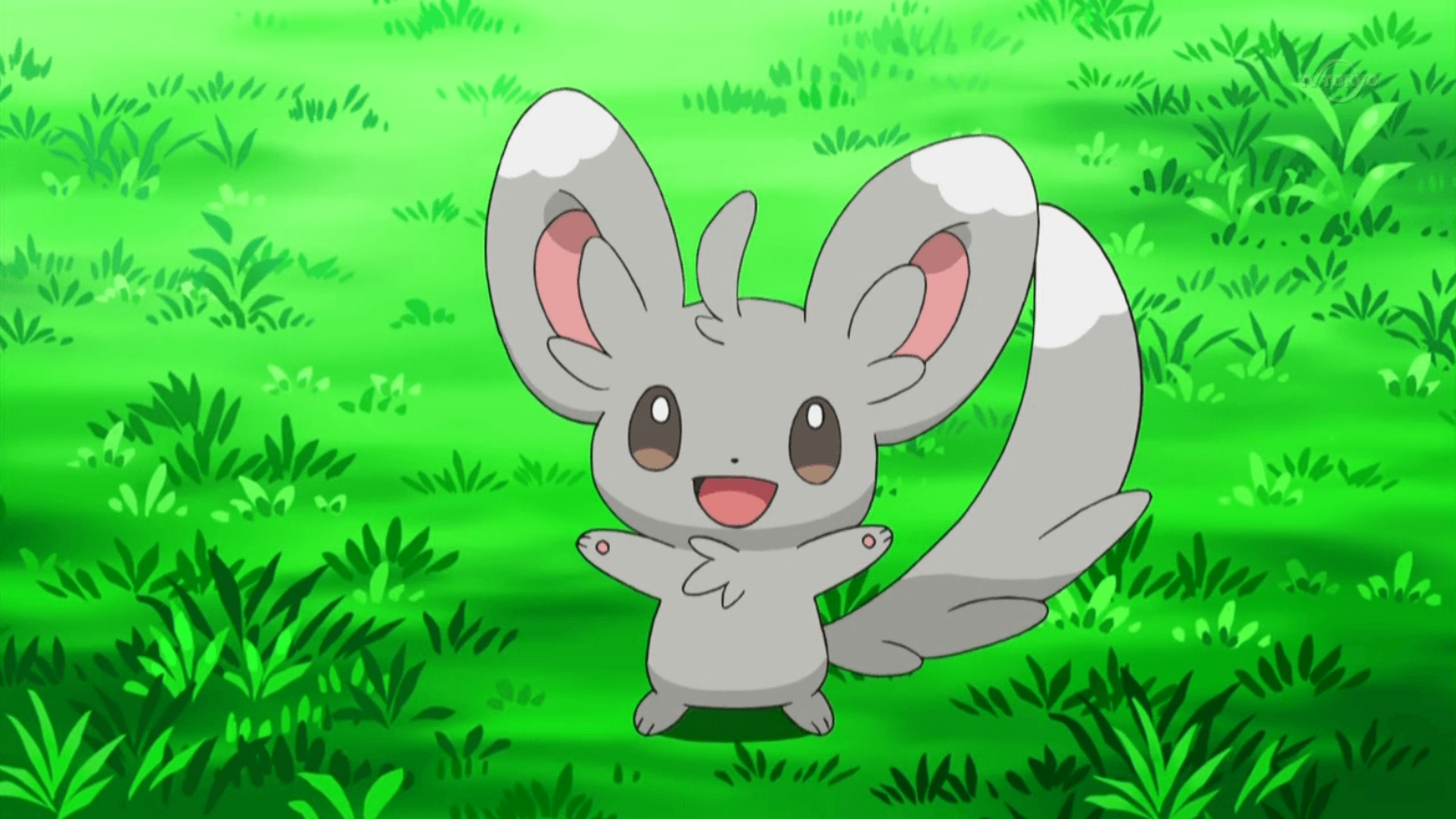 Minccino Hd Wallpapers