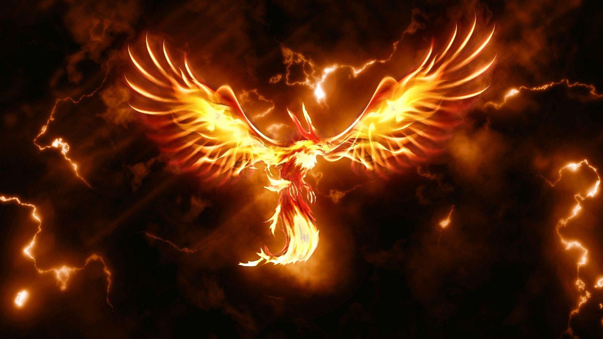 Moltres Hd Wallpapers