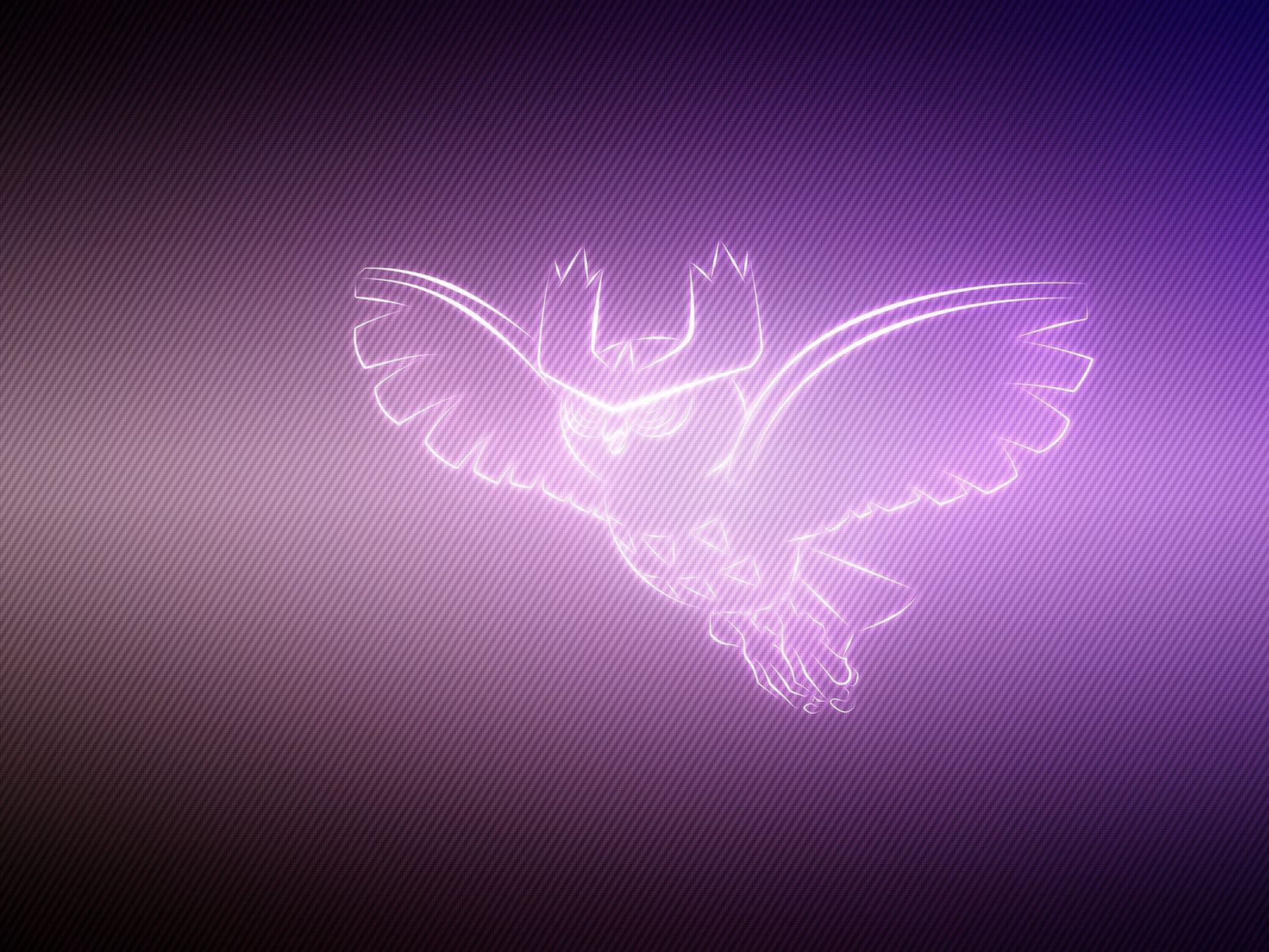 Noctowl Hd Wallpapers