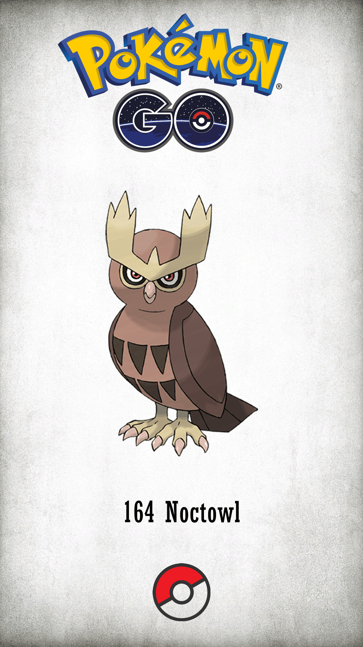 Noctowl Hd Wallpapers