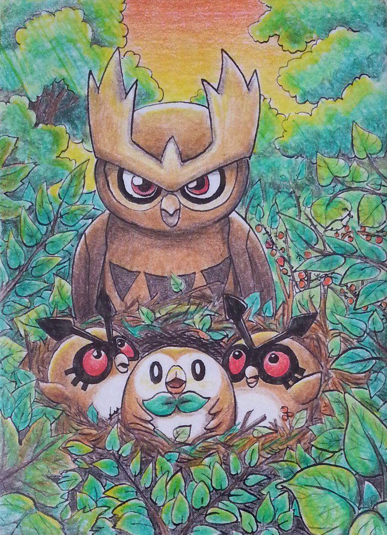 Noctowl Hd Wallpapers