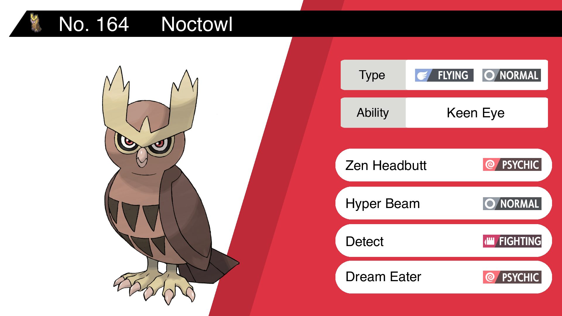 Noctowl Hd Wallpapers