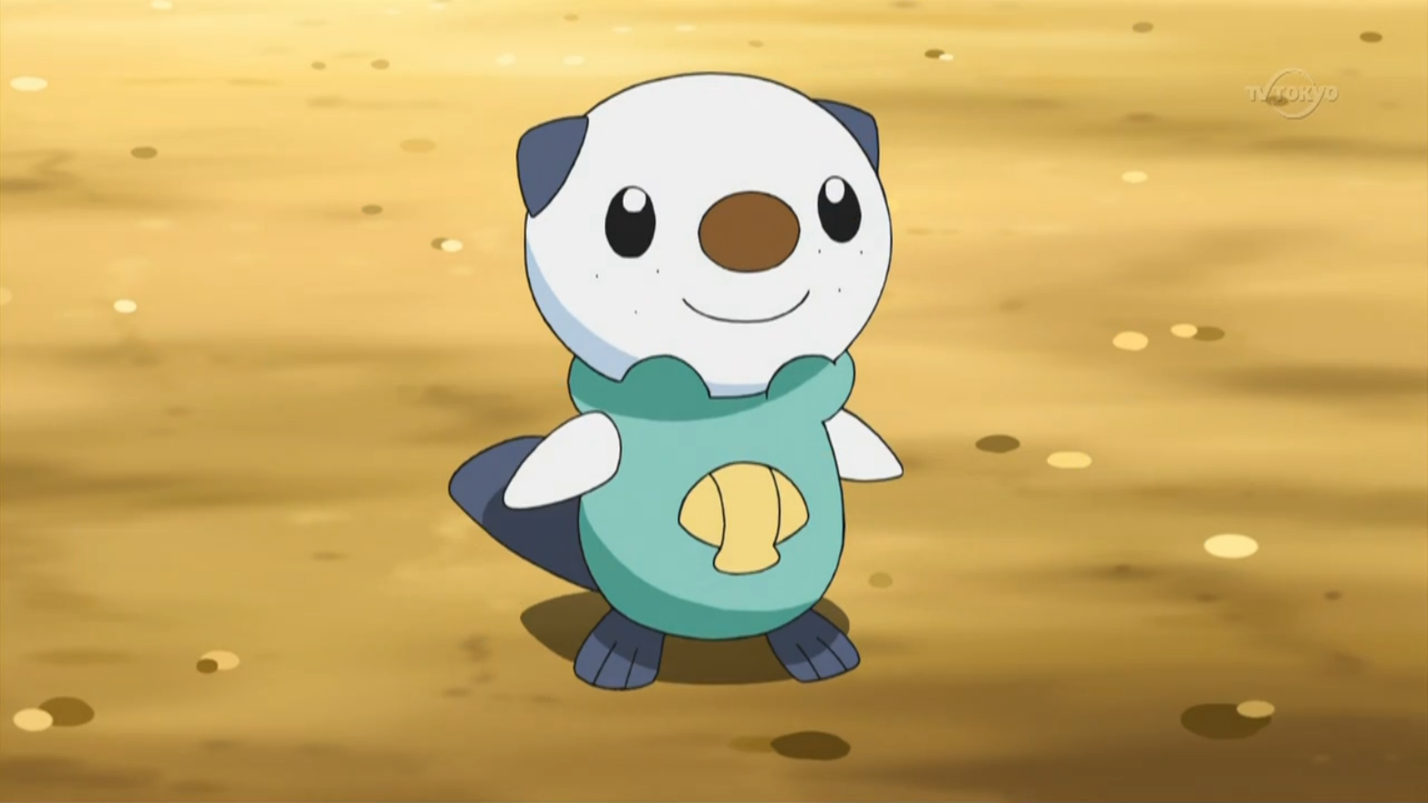 Oshawott Hd Wallpapers