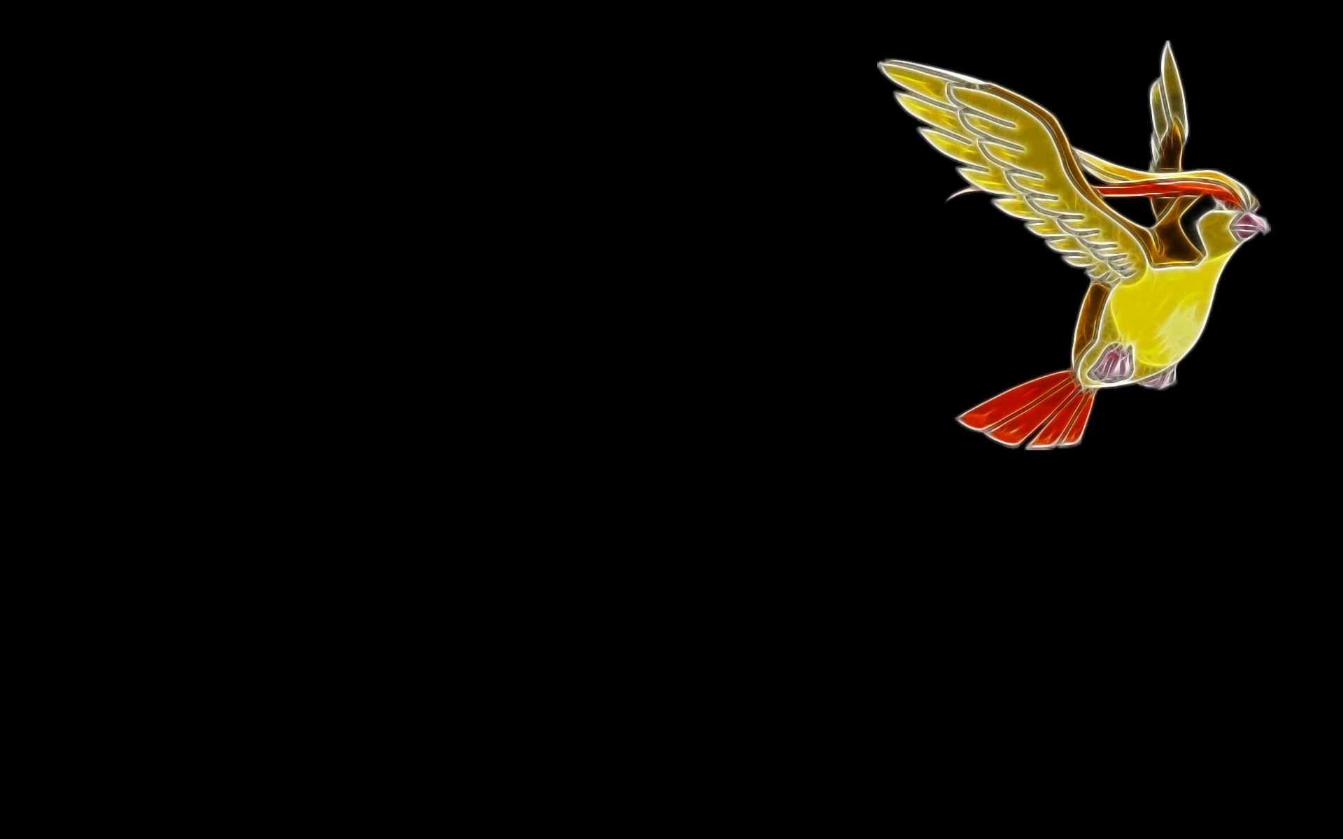 Pidgeot Hd Wallpapers