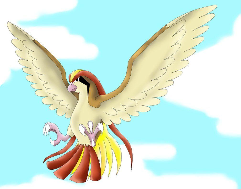 Pidgeot Hd Wallpapers