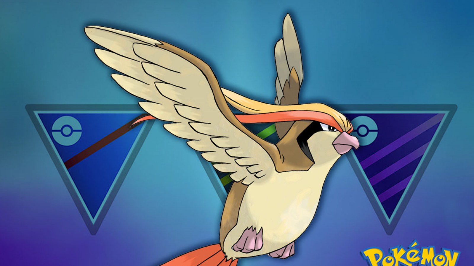 Pidgeot Hd Wallpapers