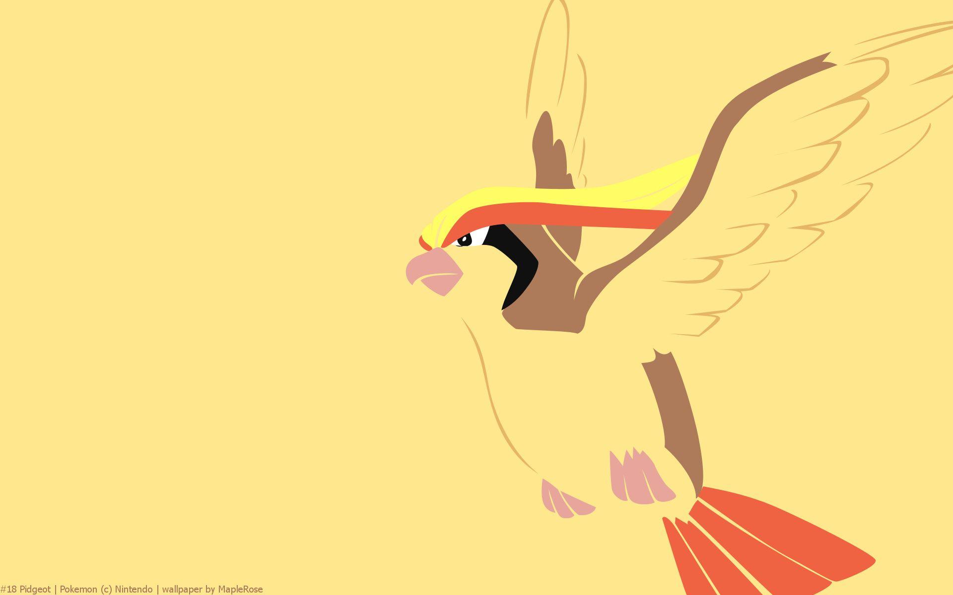 Pidgeotto Hd Wallpapers
