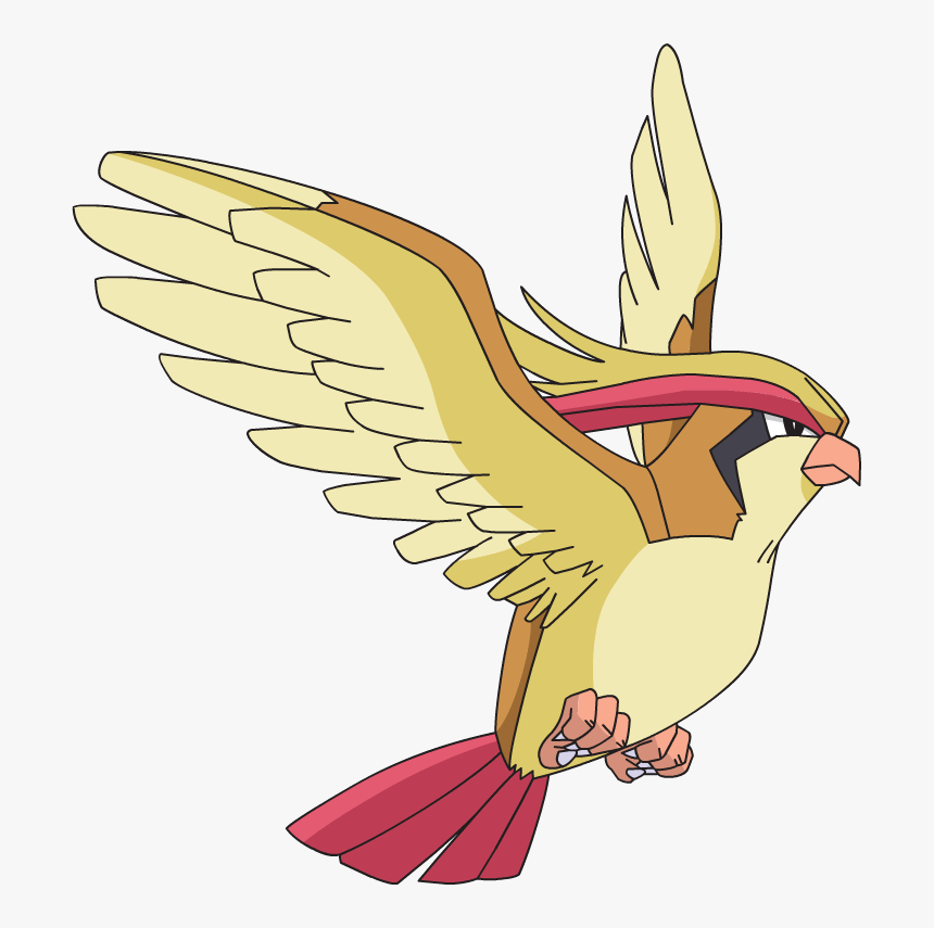 Pidgeotto Hd Wallpapers