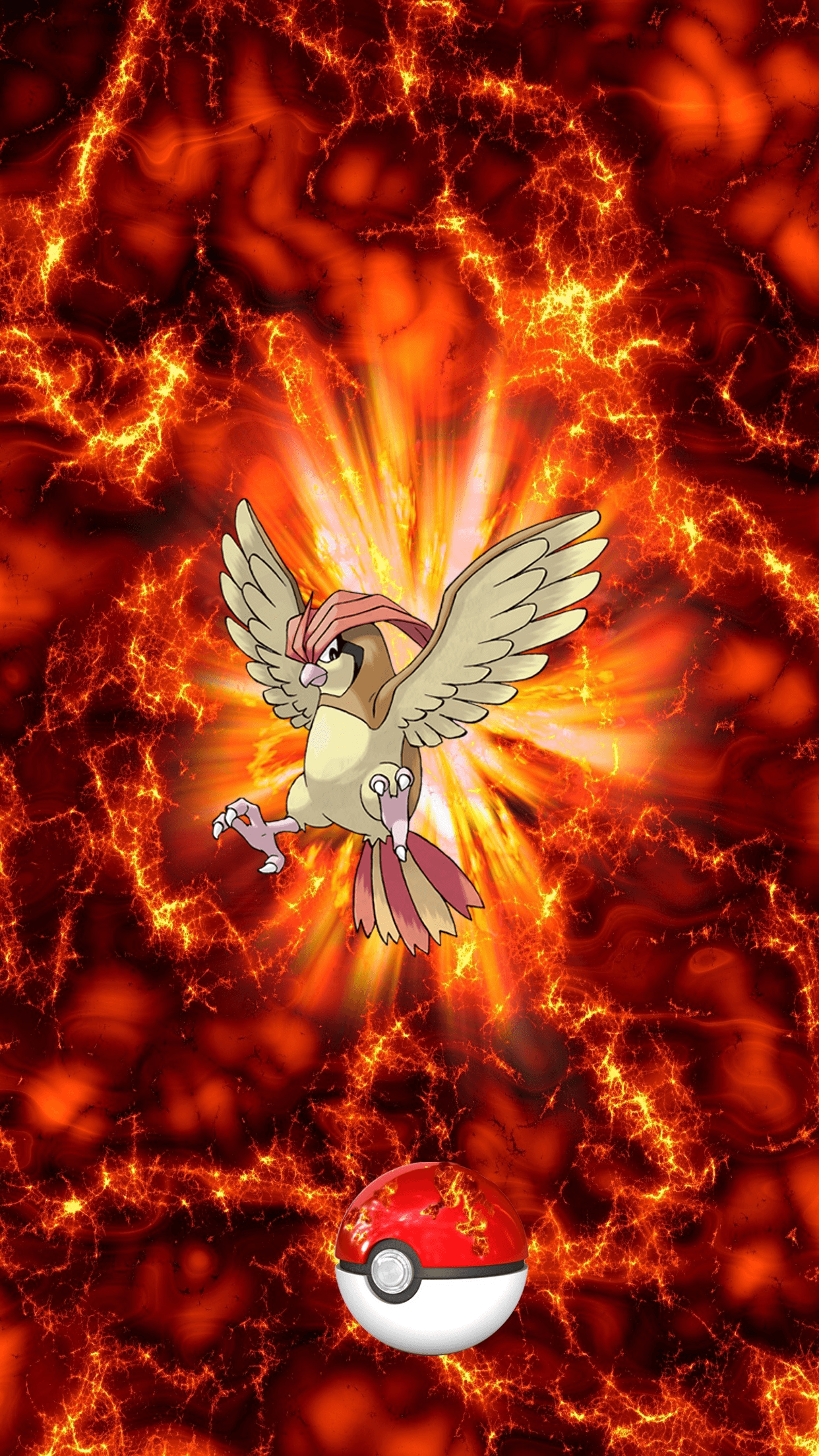 Pidgeotto Hd Wallpapers