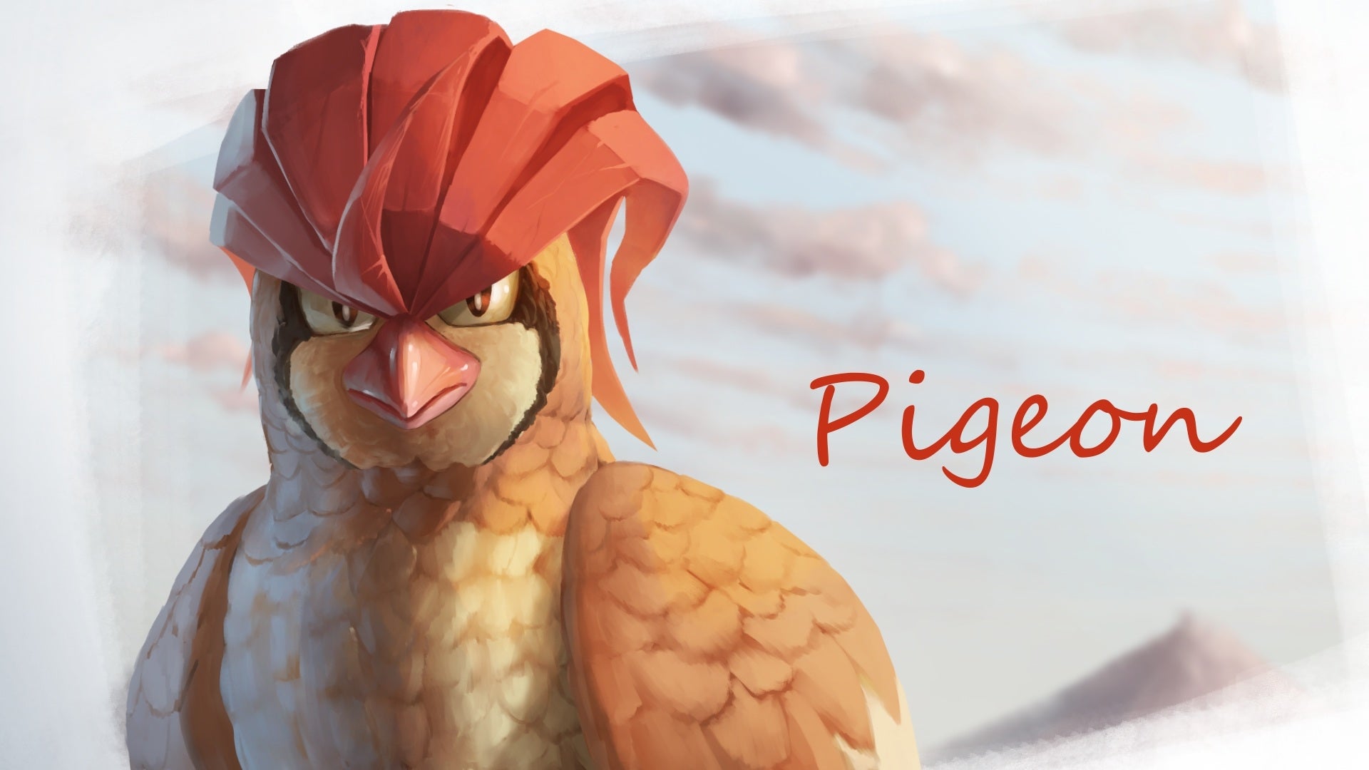 Pidgeotto Hd Wallpapers