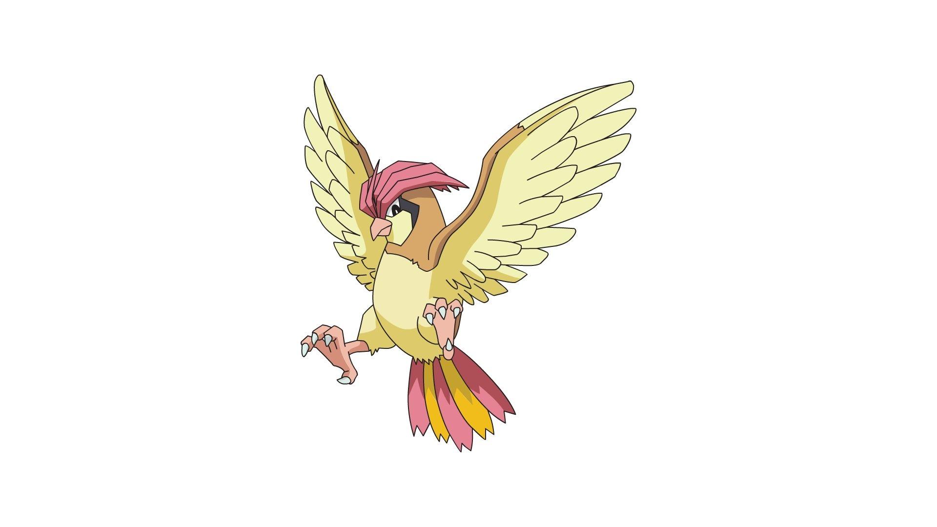 Pidgeotto Hd Wallpapers