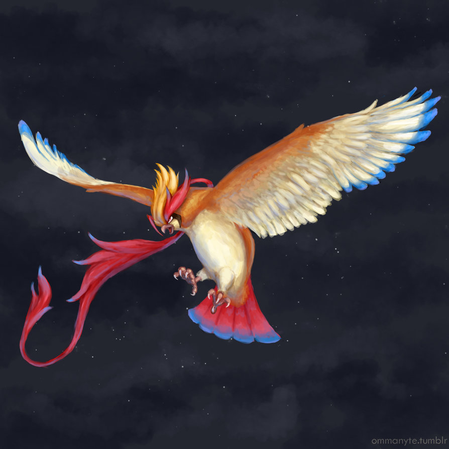 Pidgeotto Hd Wallpapers