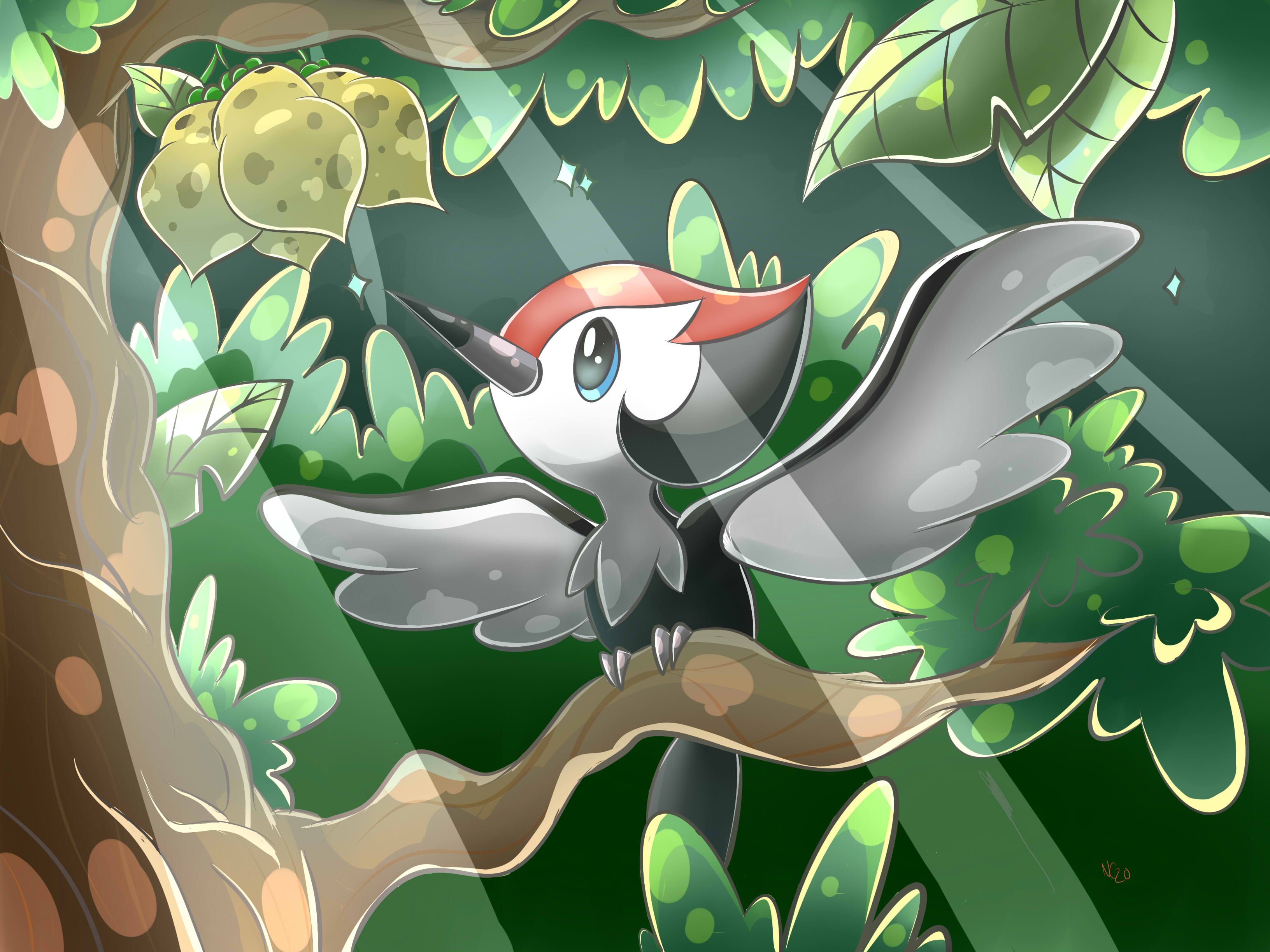 Pikipek Hd Wallpapers