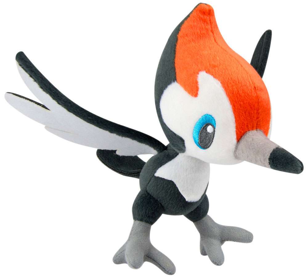 Pikipek Hd Wallpapers