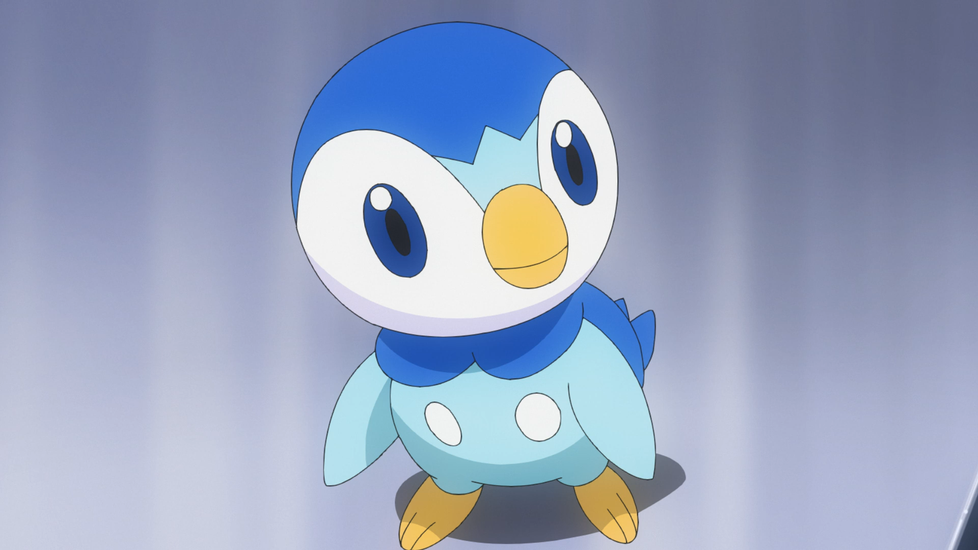 Piplup Hd Wallpapers