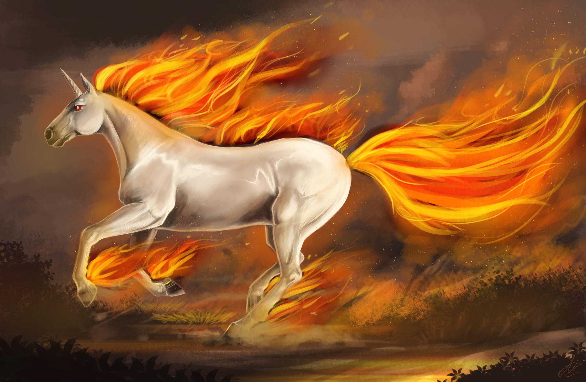 Rapidash Hd Wallpapers