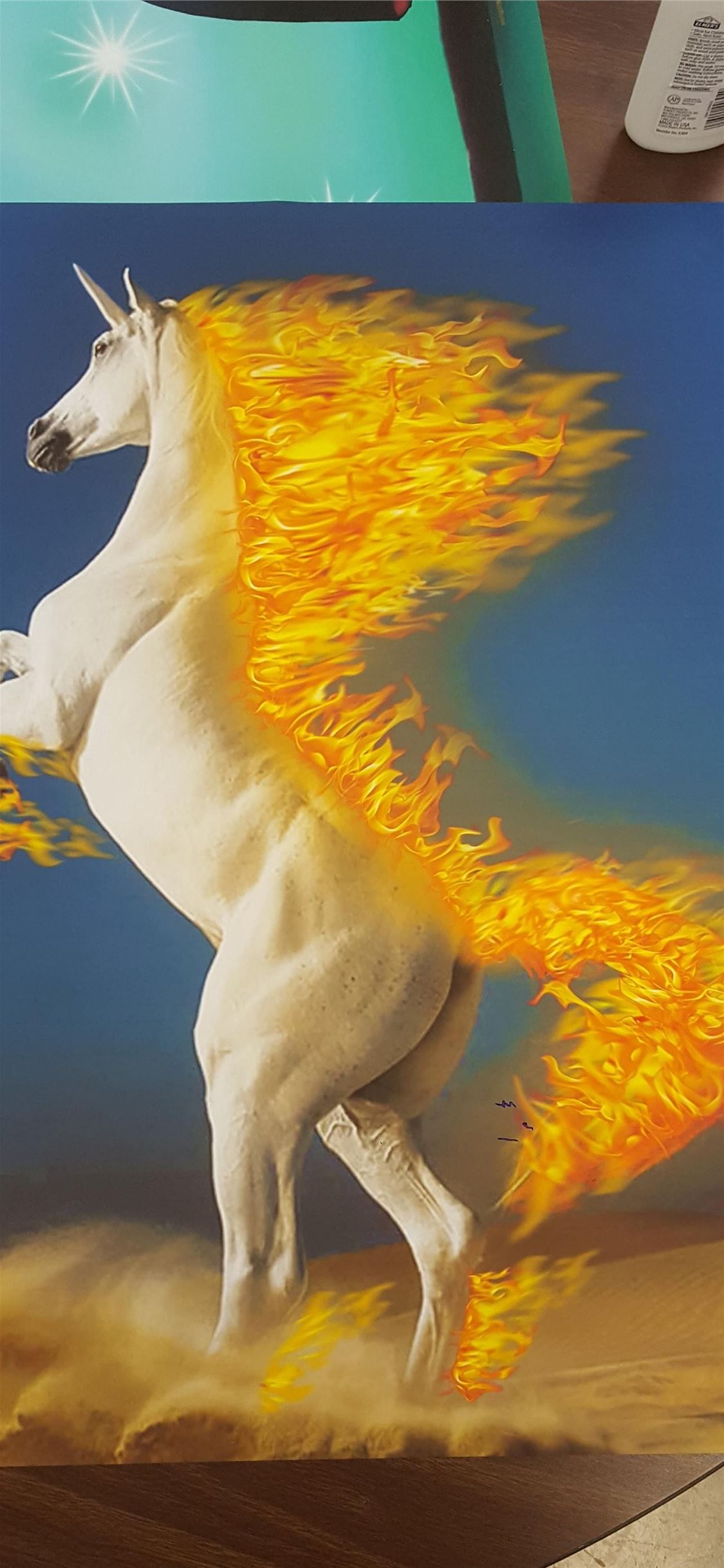 Rapidash Hd Wallpapers