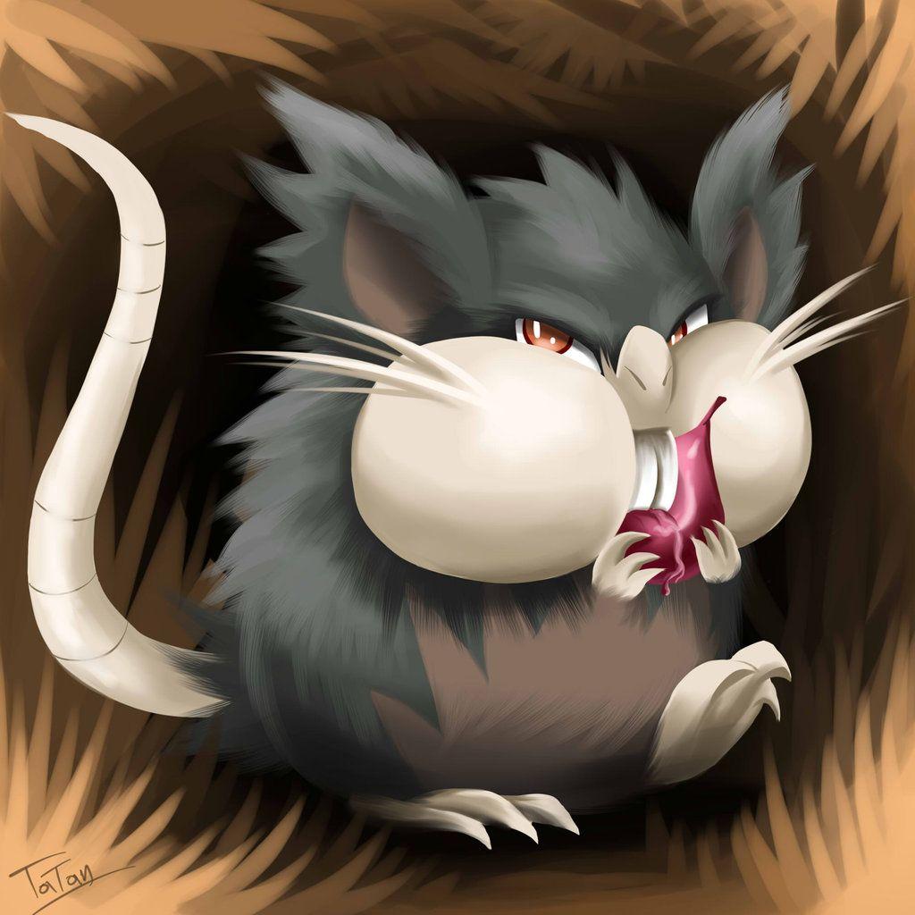 Raticate Hd Wallpapers