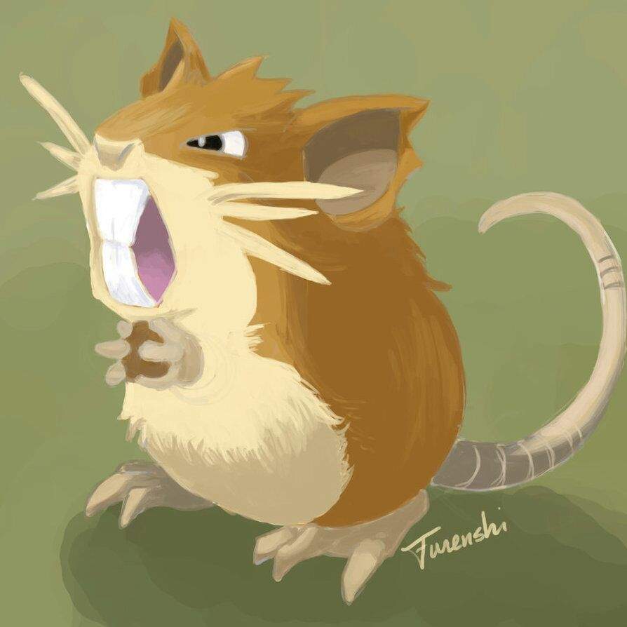 Raticate Hd Wallpapers