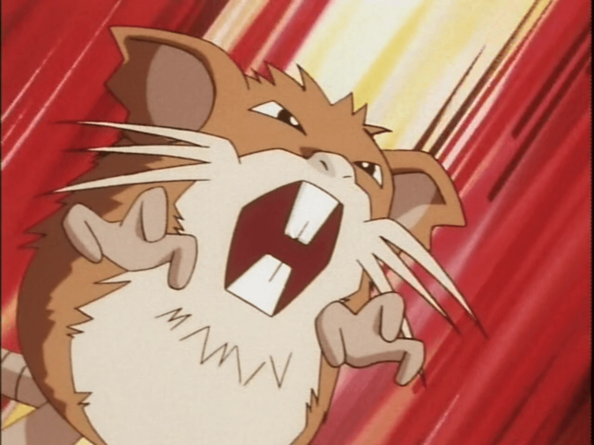 Raticate Hd Wallpapers