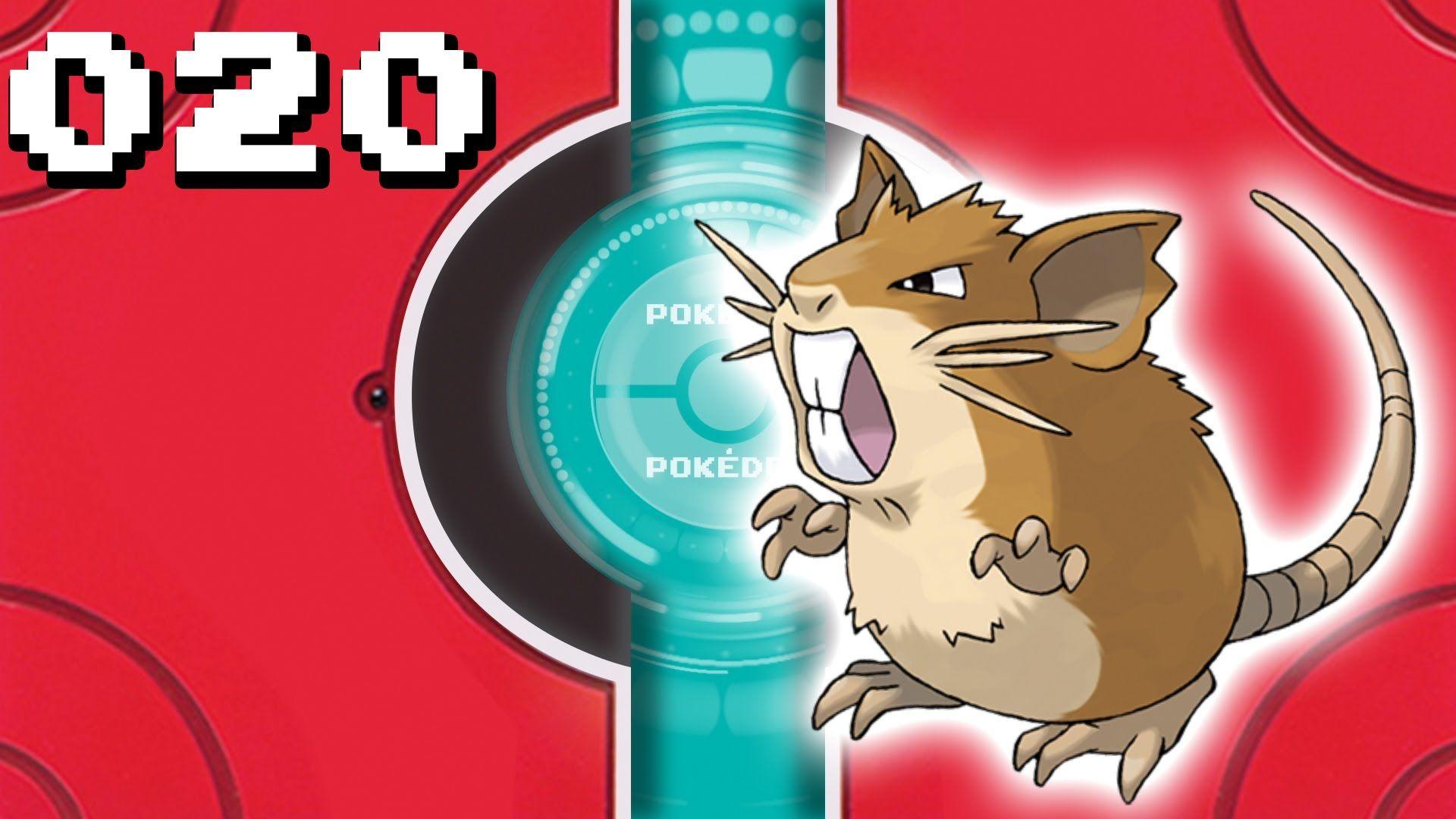 Raticate Hd Wallpapers