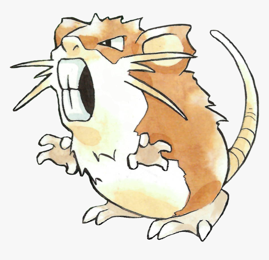 Raticate Hd Wallpapers