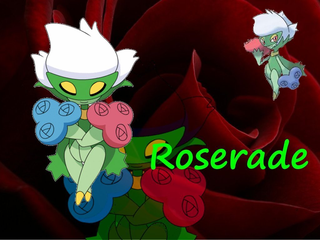 Roserade Hd Wallpapers