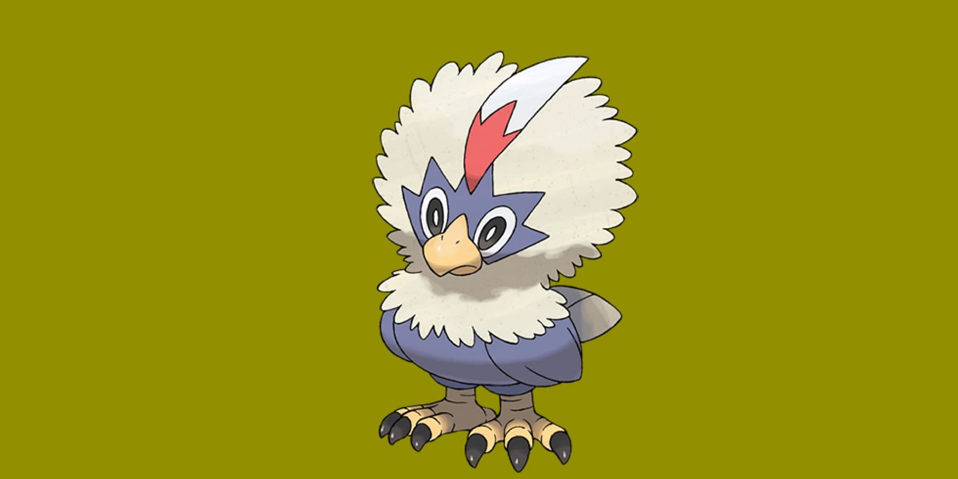 Rufflet Hd Wallpapers