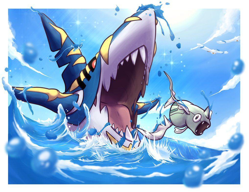 Sharpedo Hd Wallpapers