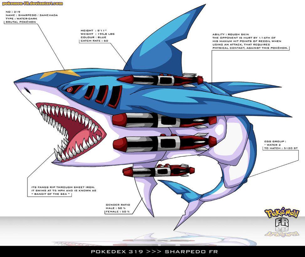 Sharpedo Hd Wallpapers