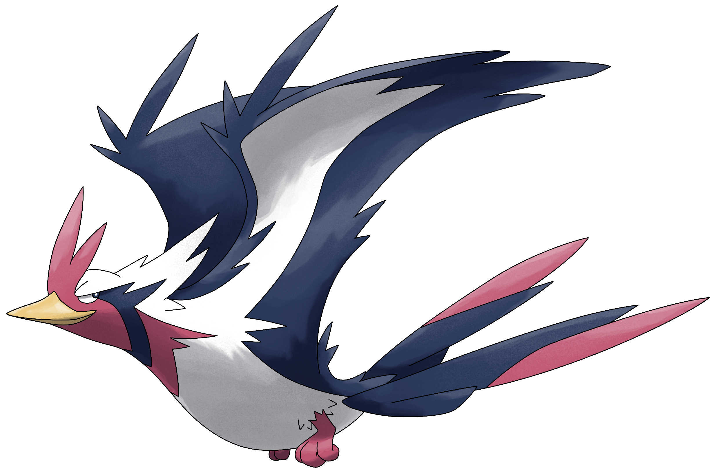 Swellow Hd Wallpapers