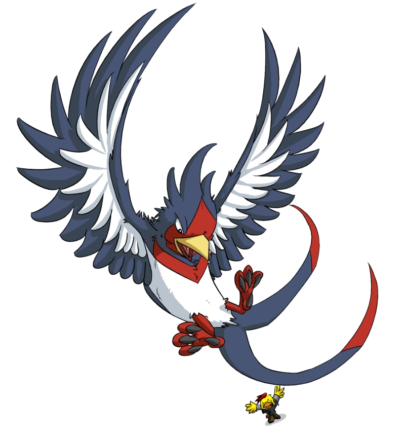 Swellow Hd Wallpapers