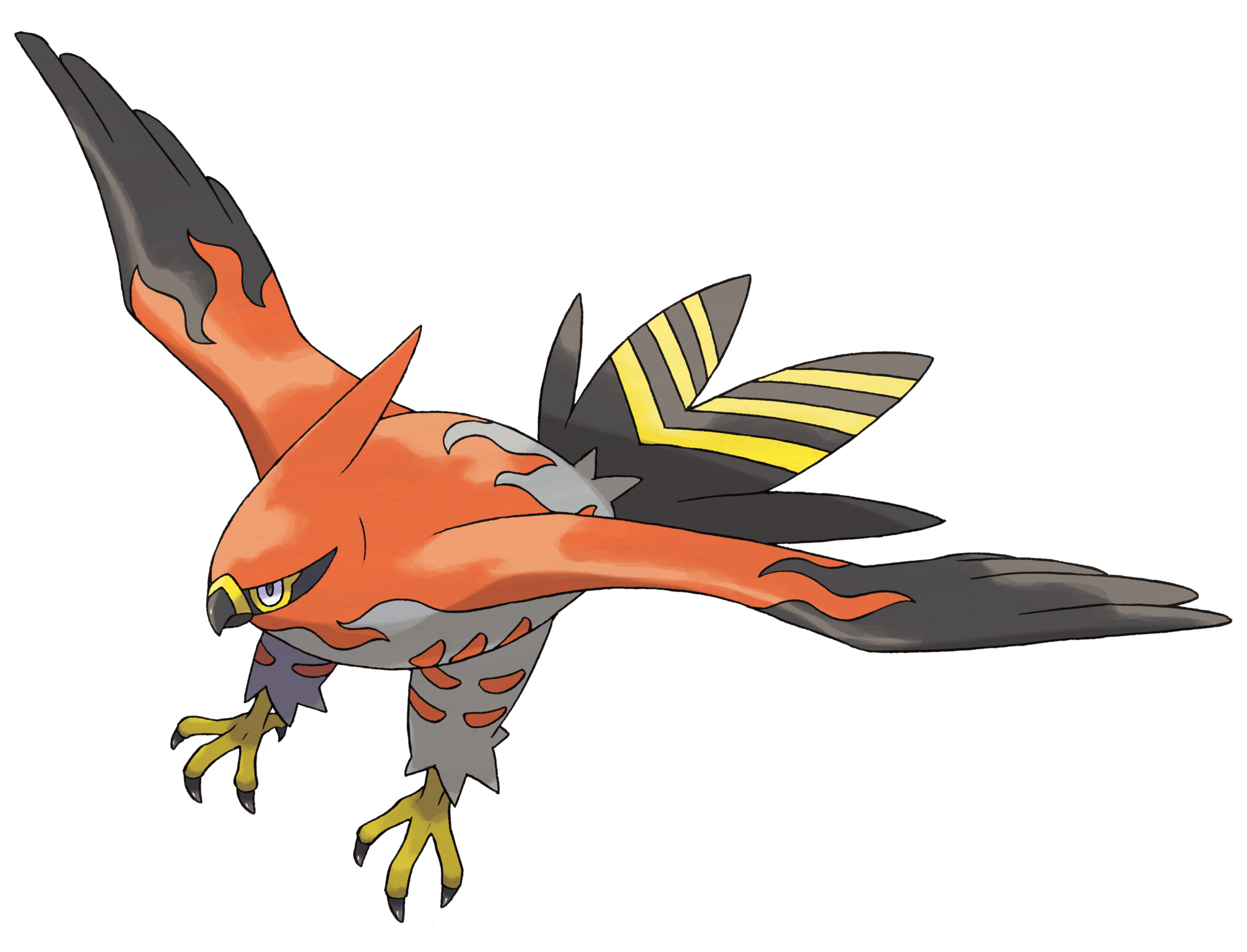 Talonflame Hd Wallpapers