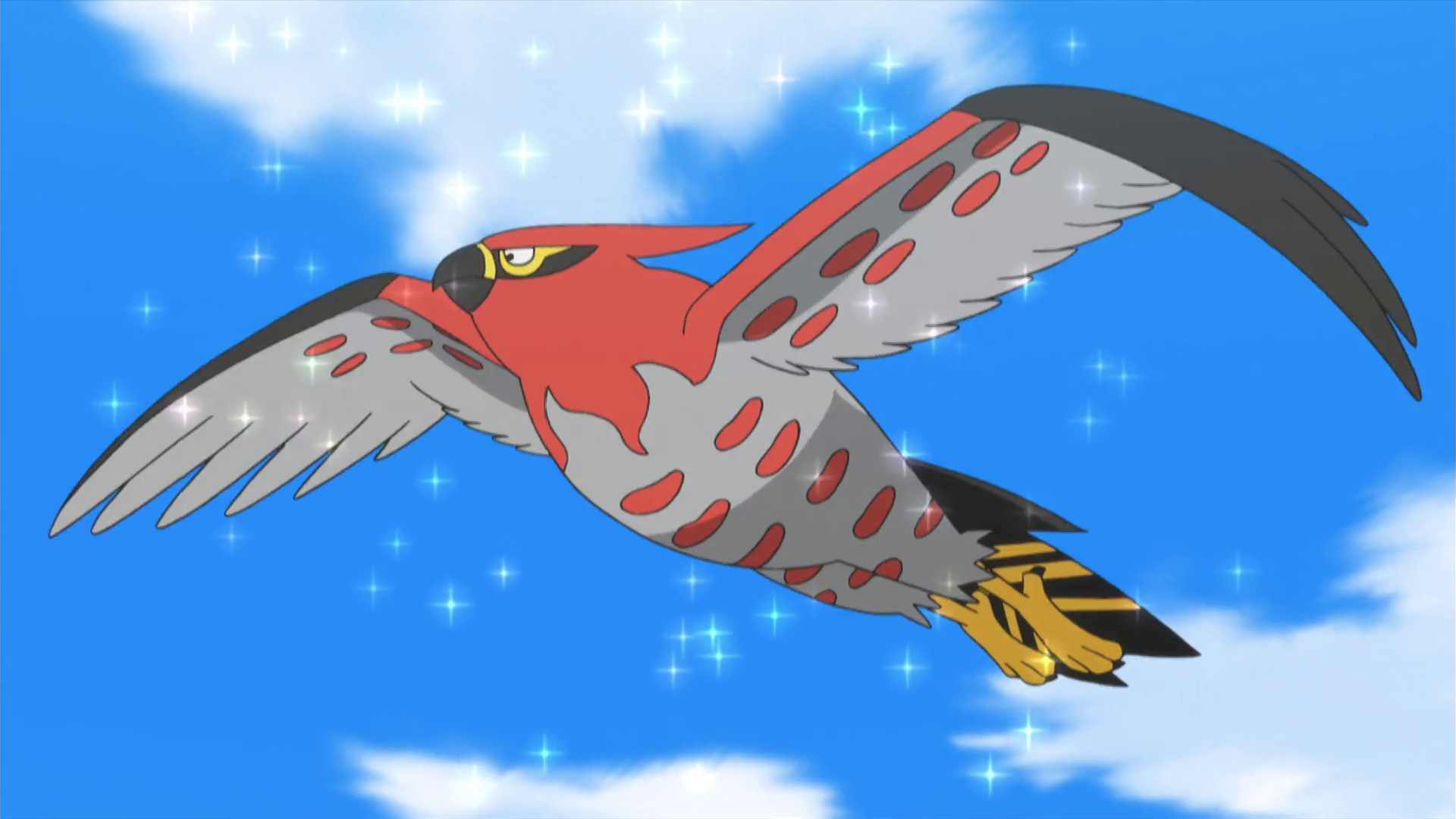 Talonflame Hd Wallpapers