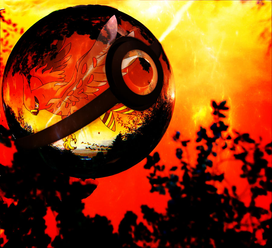 Talonflame Hd Wallpapers