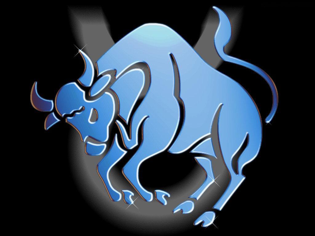 Tauros Hd Wallpapers