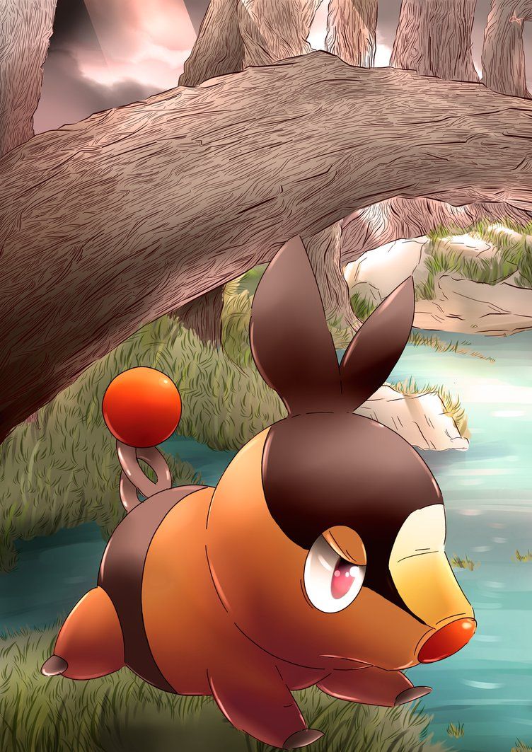 Tepig Hd Wallpapers