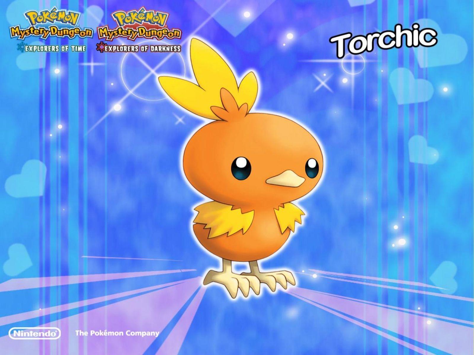 Torchic Hd Wallpapers