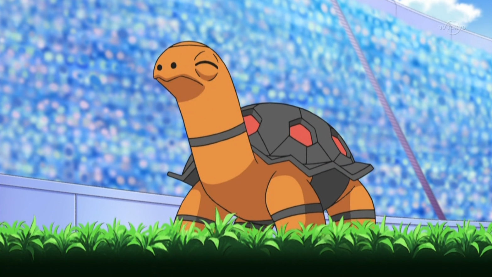 Torkoal Hd Wallpapers