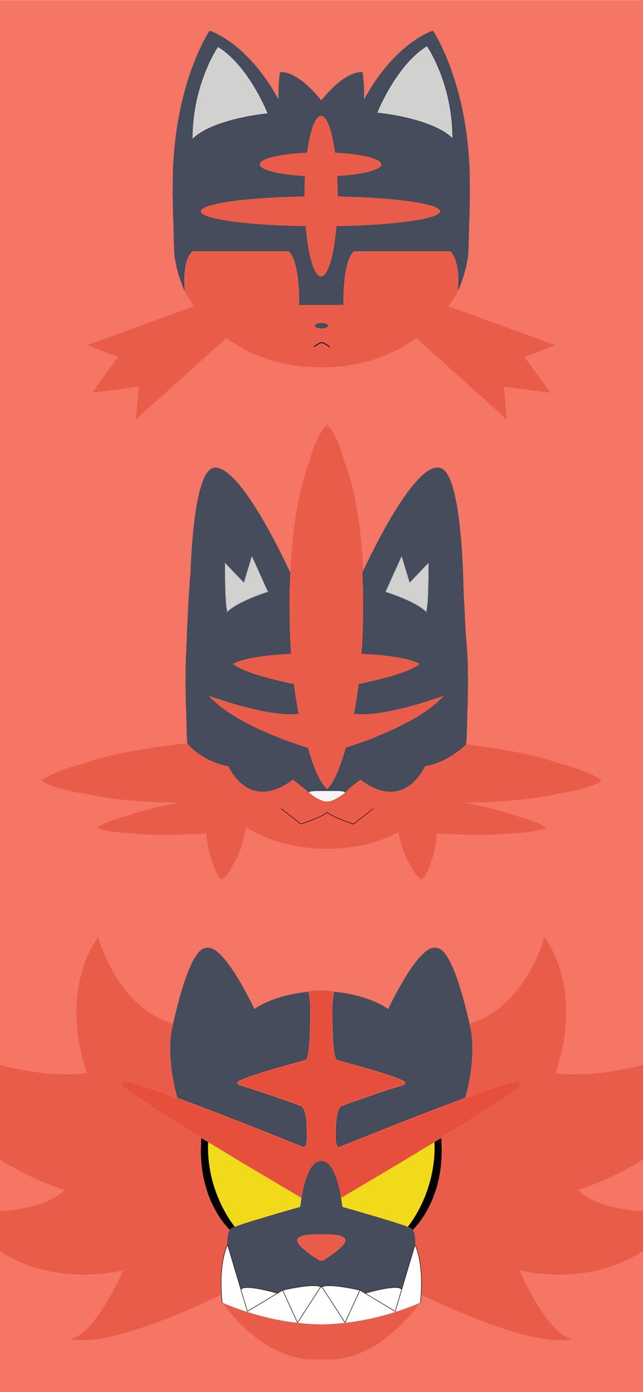 Torracat Hd Wallpapers