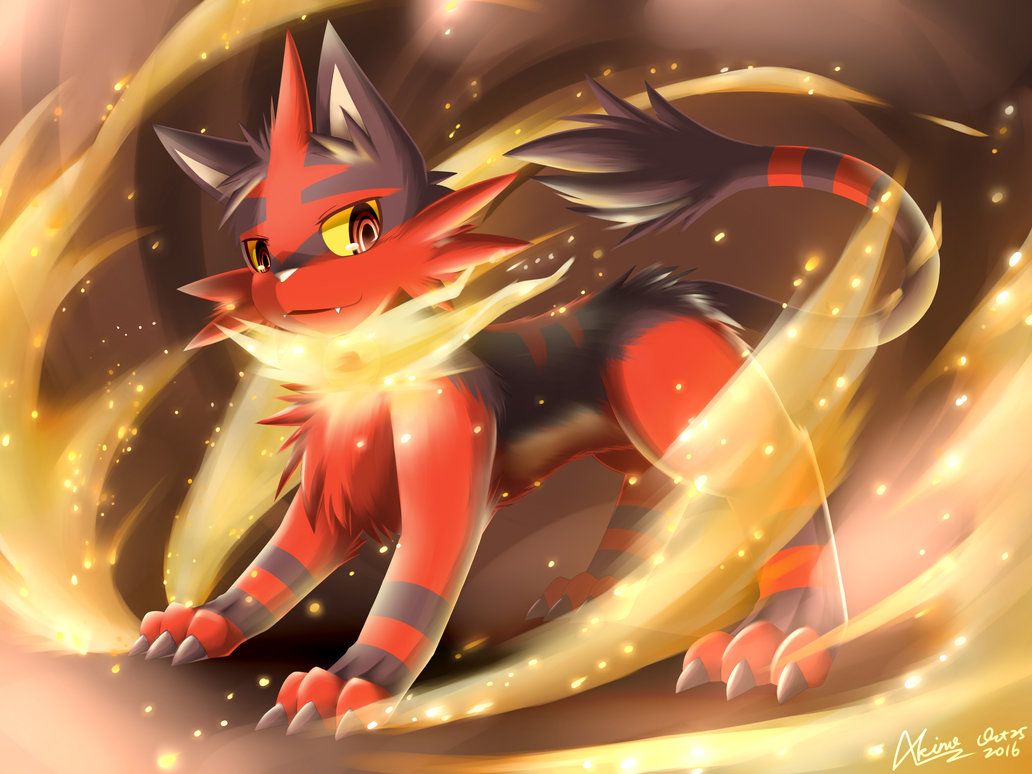 Torracat Hd Wallpapers