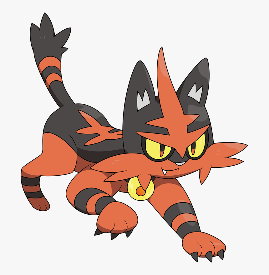 Torracat Hd Wallpapers