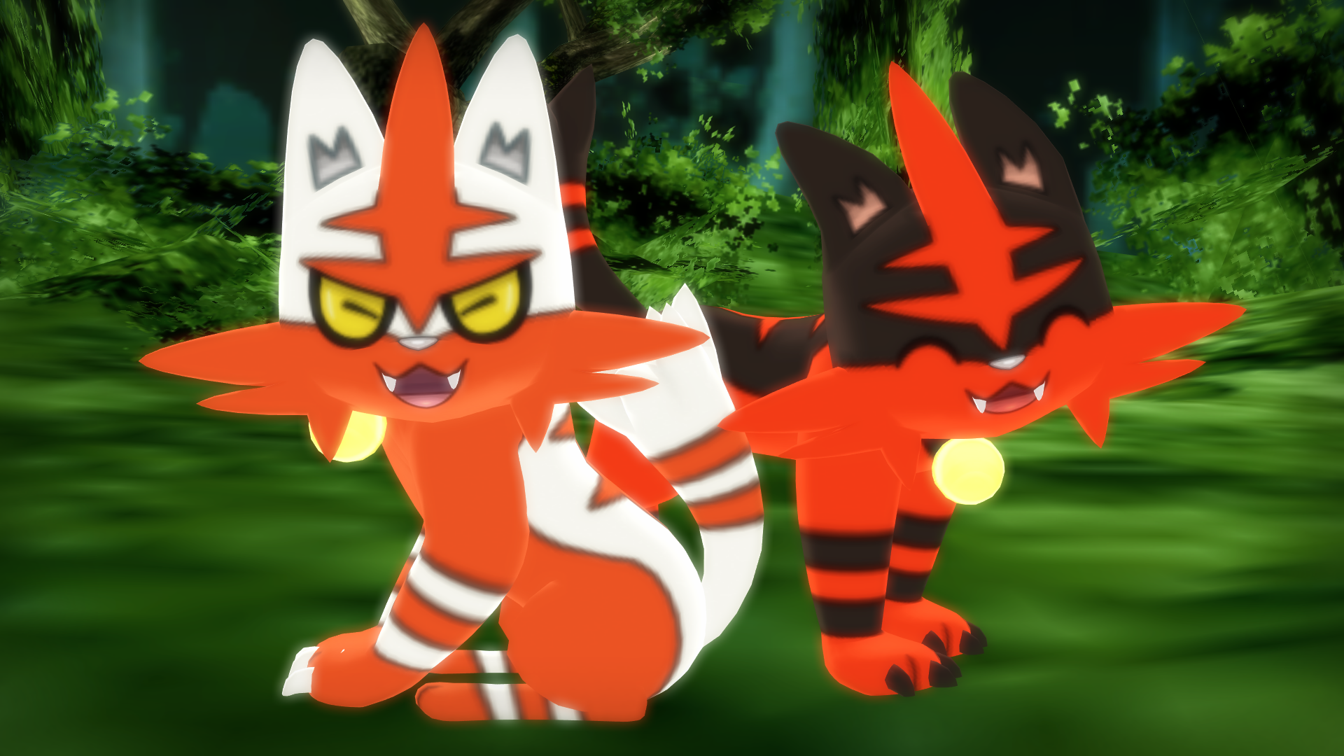 Torracat Hd Wallpapers