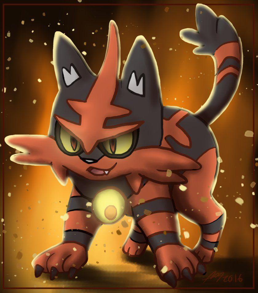 Torracat Hd Wallpapers