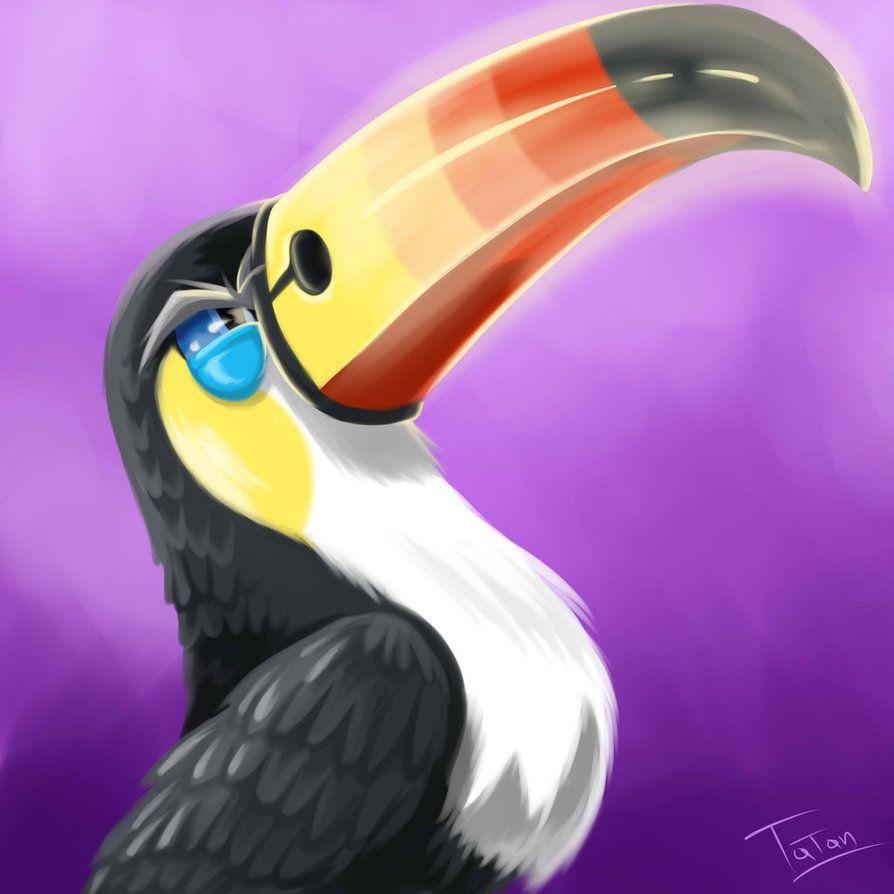 Toucannon Hd Wallpapers