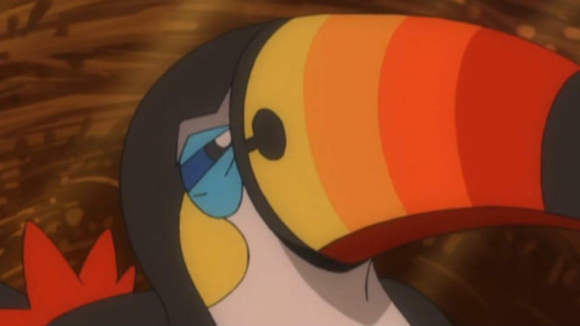 Toucannon Hd Wallpapers